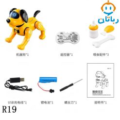 ربات سگ کنترلی کد R19 زرد