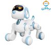 ربات سگ کنترلی شارژی کوچک – کد 6601