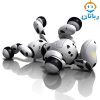 سگ هوشمند کنترلی 619