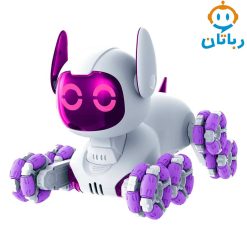 ربات کنترلی سگ هوشمند 9_4