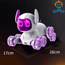ربات کنترلی سگ هوشمند 9_4