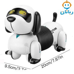 رباتیک کنترلی سگ فنری k22