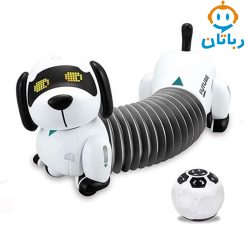 رباتیک کنترلی سگ فنری k22