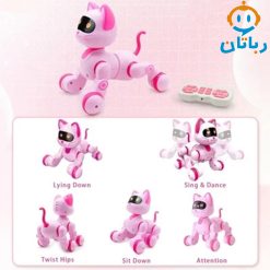 رباتیک کنترلی گربه لمسی 6602